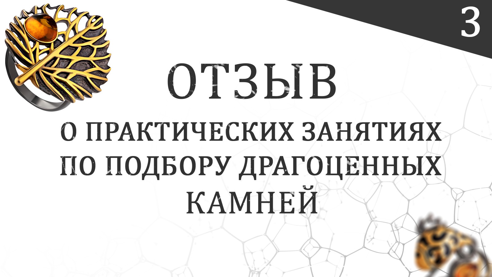 Отзыв о практических занятиях по подбору драгоценных камней у Сергея Серебрякова (3)