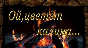 ОЙ ЦВЕТЁТ КАЛИНА - Любимые песни