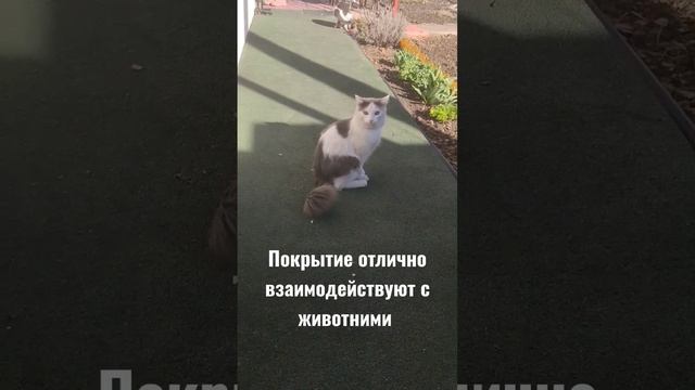 Напольное покрытие для животноводства. #напольноепокрытие #приютдлясобак #кинология