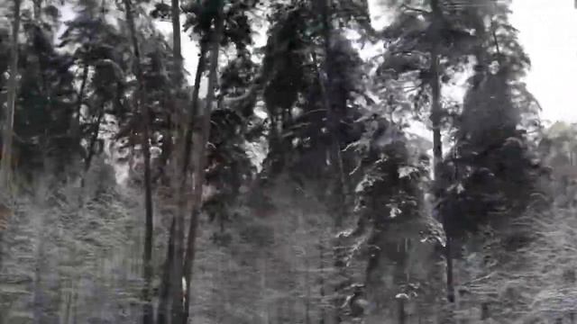 «Чияле тау» - Лилия Хисаметдинова, любимая ретро-песня 80-х (Назифа Кадырова), загородная Казань смотреть онлайн