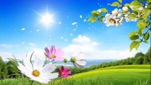 СОЗДАЛ ТВОРЕЦ ВСЕ ПРЕМУДРО   красивая деская христианская песня