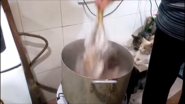 Перосъемная машина ПМ-6М для бройлеров смотреть онлайн