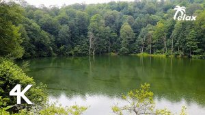 8 Hours of Rain and Birdsong on a karst lake