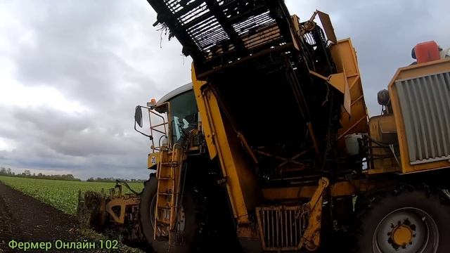Уборка сахарной свёклы 2022 в Башкирии.Sugar beet harvest 2022. Будни тракториста. Деревенская жизн