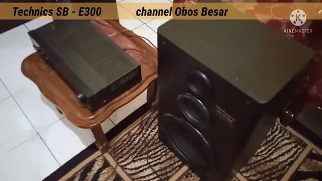 Speaker Technics SB-E300 смотреть онлайн