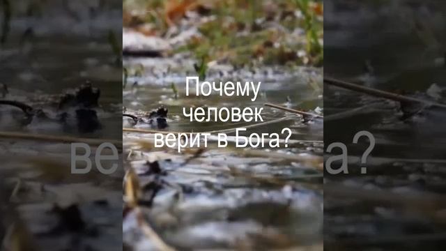 Почему человек верит в Бога? Веришь ли ты в Него?