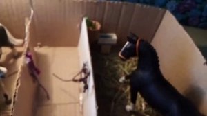 Обзор на самодельную конюшню schleich на 2 Дениска!