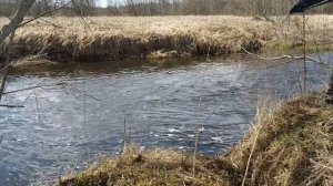 ПОИСК МАГНИТОМ. МНОГО НАХОДОК В СТАРОЙ РЕКЕ. Магнит FORCEBERG F400x2