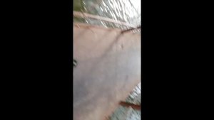Самодельная Блесна турбинка своими руками УБИЙЦА ОКУНЯ! Ловля окуня на блесну и ротан на удочку