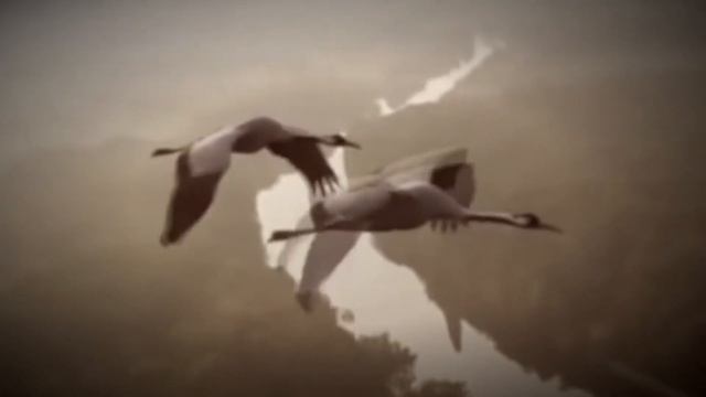 Полюбил я заоблачный лет