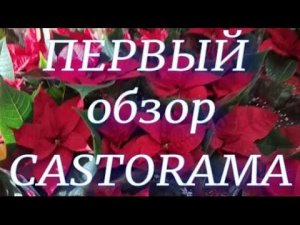 Первый обзор тц Касторама на шоссе Нефтяников. Сад. и комн. растения
