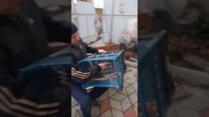 Корзина для грибов и ягод за Даром! Ты сможешь сделать это сам за 15 минут!