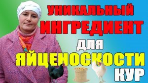 Уникальный ингредиент для яйценоскость кур.