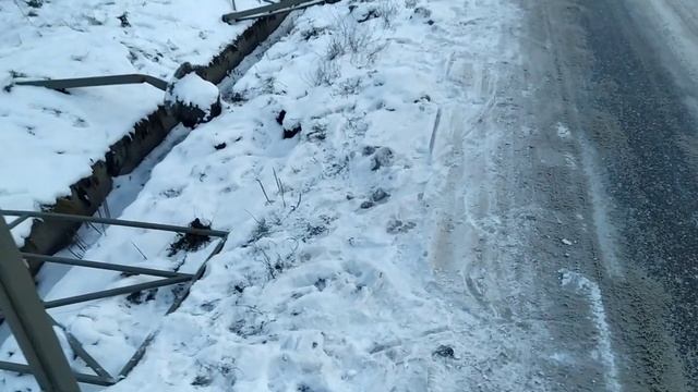 191122 Курочка по зернышку клюёт