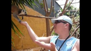 Hands on with the monkeys at Tenerife Zoo Monkey Park