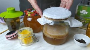 Как приготовить чайный гриб (комбучу) из мёда и зелёного чая (Джун Ти)?