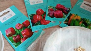 Сам себе агроном. Сладкий перец