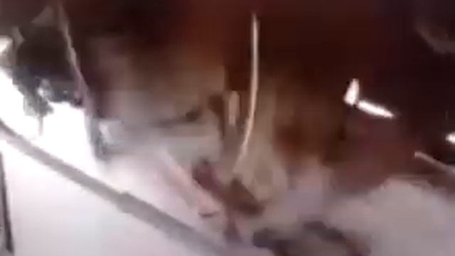 Работа подвески поезда на скорости 142 км ч смотреть онлайн