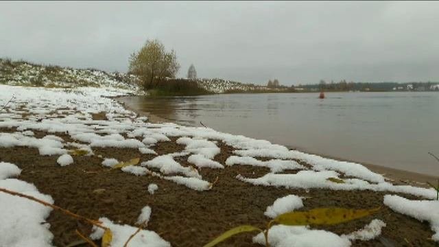 МордЖ