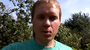 В какой воде замачивать дубовый веник?