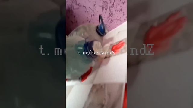 Попасная весна