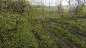 Cordiant offroad 2 - проверка бездорожьем.
