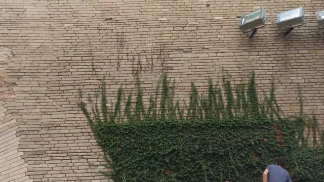 Пальма 2 смотреть онлайн