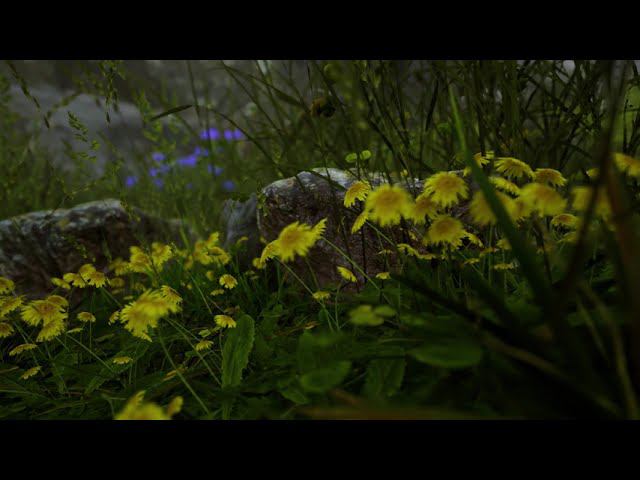 Twinmotion 23. Эффект Боке. 4к. смотреть онлайн