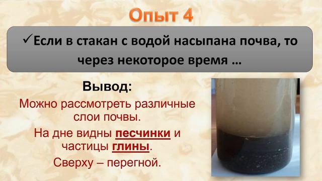 Тема 3. Почва. Значение почвы и забота о ней