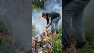Бензопила ЗиД в работе 1989 года СССР!!! Настройка после переборки