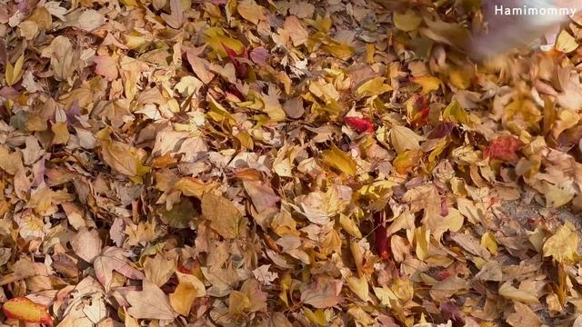 Vlogㅣ작은 주택에서 보내는 슬로우 라이프ㅣ아침 청소, 빵 굽기, 사진첩 정리, 모닥불ㅣ전에 살던 집 놀러간 일상 ?