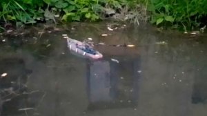 линкор бисмарк из пластилина