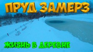 ПРУД ЗАМЁРЗ ...   [Жизнь в деревне]