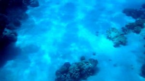 Коралловый риф у отелей GRAND MAKADI и MAKADI PALAS