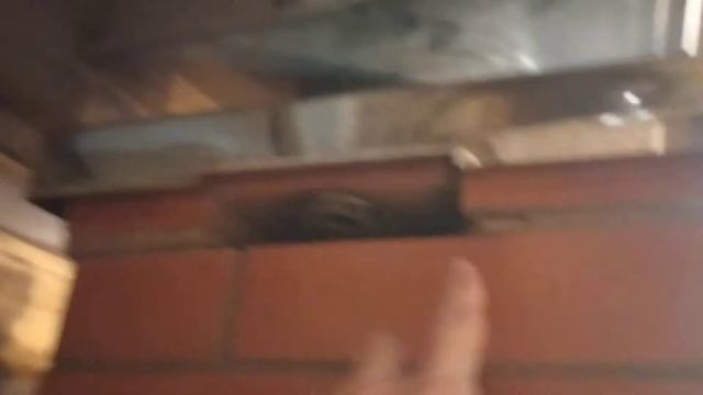 Трещина, сдвиг кладки. Нужен совет смотреть онлайн