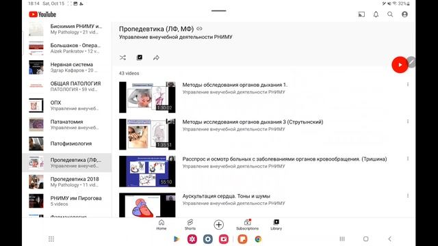 физиология и гистология | как учить? смотреть онлайн