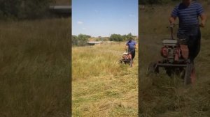 Покос травы мотоблоком