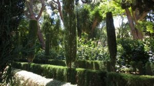 Любовь, измена и колдун. Эдуард Асадов (слушать стихи)