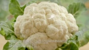 Пюре Gerber - идеально для первого прикорма