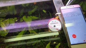 Sunsun HW-3000 Тест производительности. Заполнение фильтрующим материалом. Сравнение с tetra 1200 +