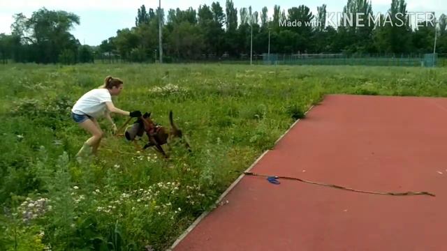 Трудовые будни на площадке смотреть онлайн