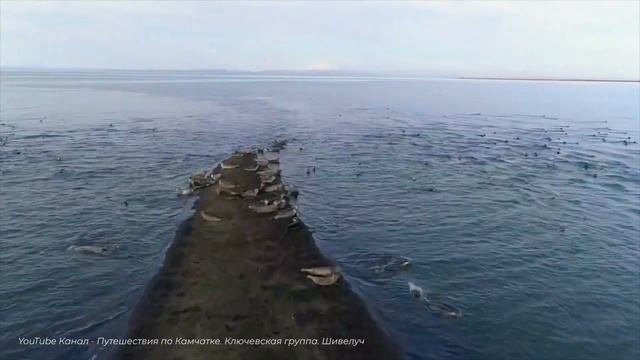 Чем богат наш край? Камчатка