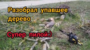 Разбираю дерево пилой Huter BS-2300М | Отлично пилит