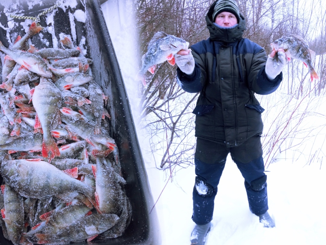 РЫБАЛКА НА РЕКЕ СВИРЬ В ФЕВРАЛЕ.ИСКАЛИ,И ПОПАЛИ НА ЖОР ОКУНЯ.ЛОВЛЯ ОКУНЯ НА БАЛАНСИР.