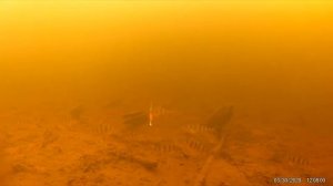 СС-27 игра под водой