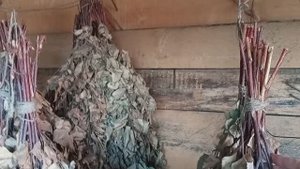 🪵🌱🌿Березовый веник 🌿 Кладезь здоровья и молодости ❗