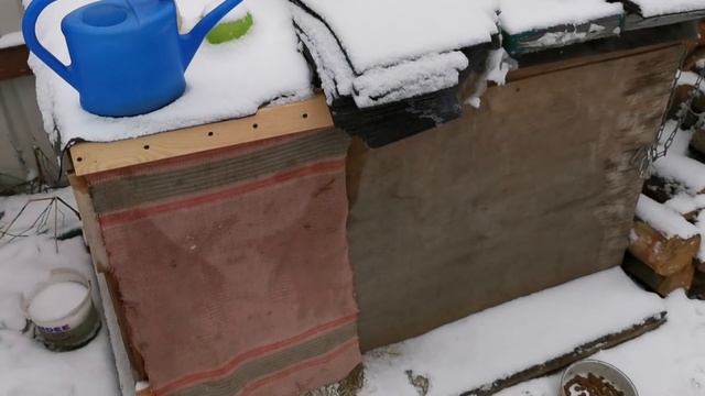 Щенята открыли глаза смотреть онлайн