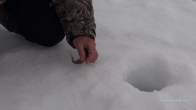 Самое-пресамое последнее закрытие корюшки. Как сохранить рыбу надолго. смотреть онлайн