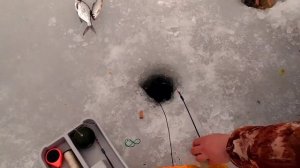 ЗИМНЯЯ РЫБАЛКА С КАМЕРОЙ LUCKY FL 180AR.