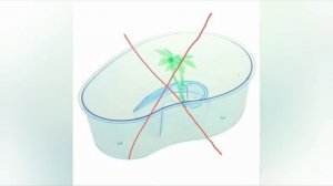 Как обустроить аквариум для красноухой черепахи??